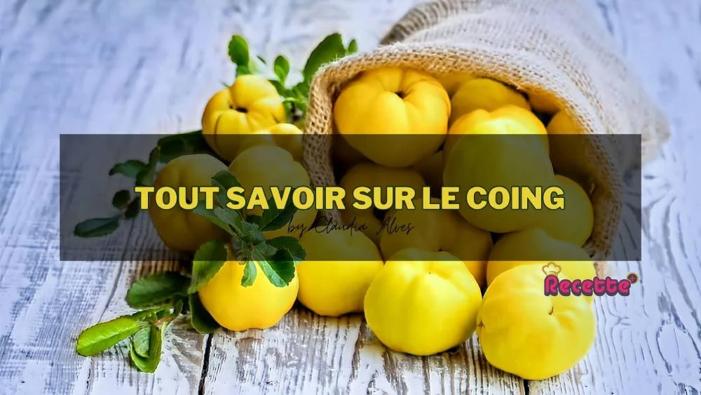 Tout savoir sur le coing : origine, bienfaits et recettes