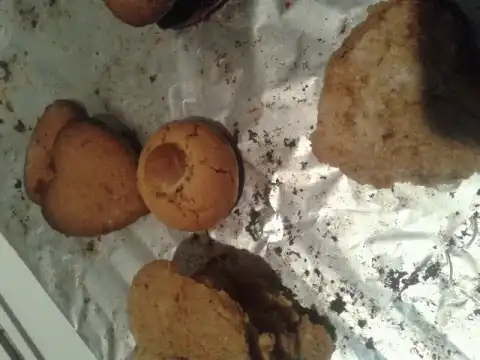 Spéculoos (cannelle et quatre épices)