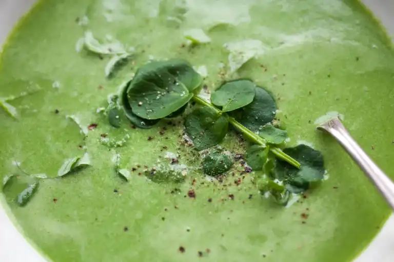 Soupe de cresson au lait de soja