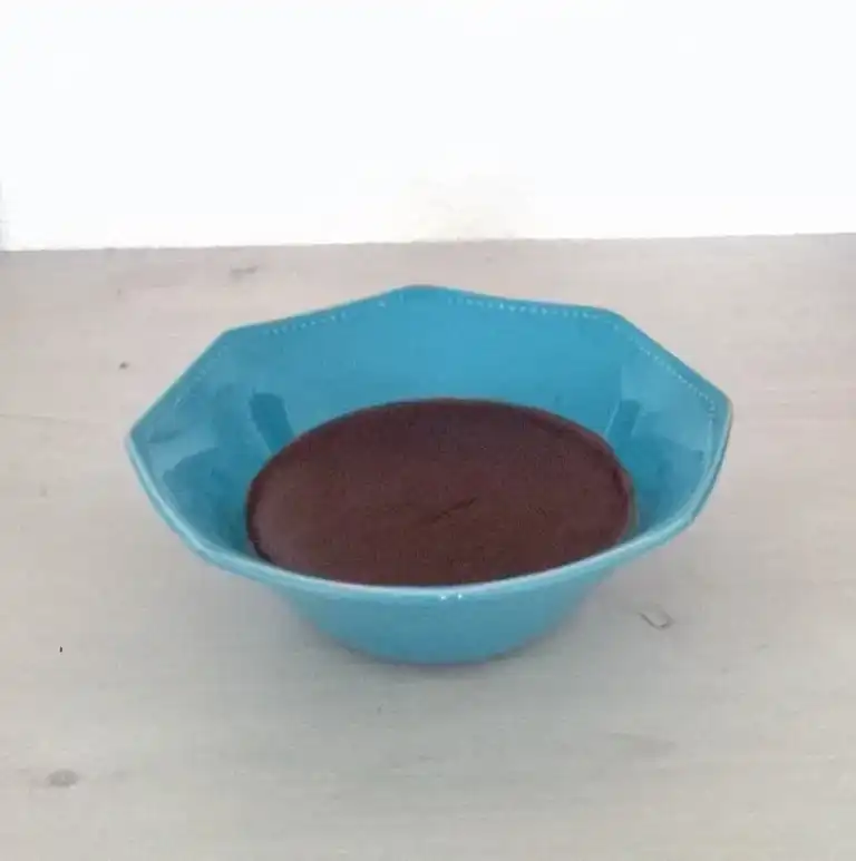 crème au chocolat simple et rapide