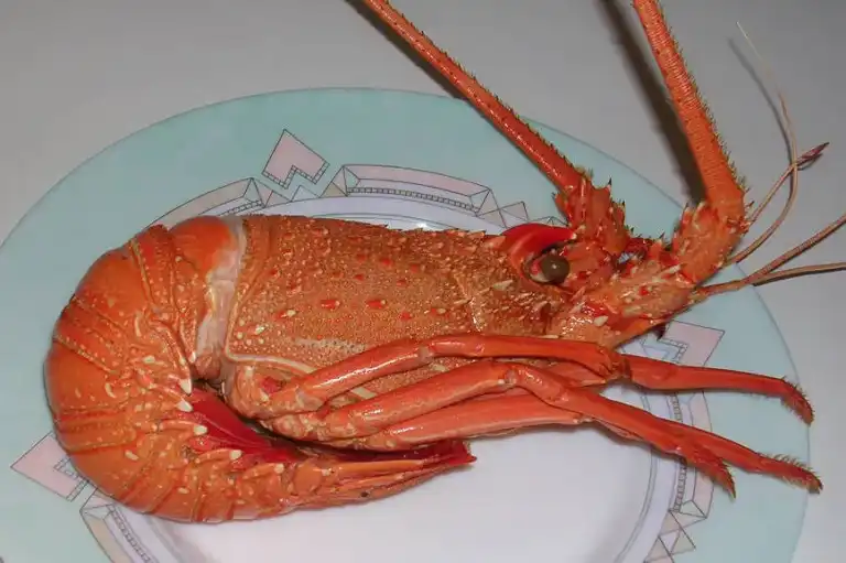 Quiche aux queues de langoustes