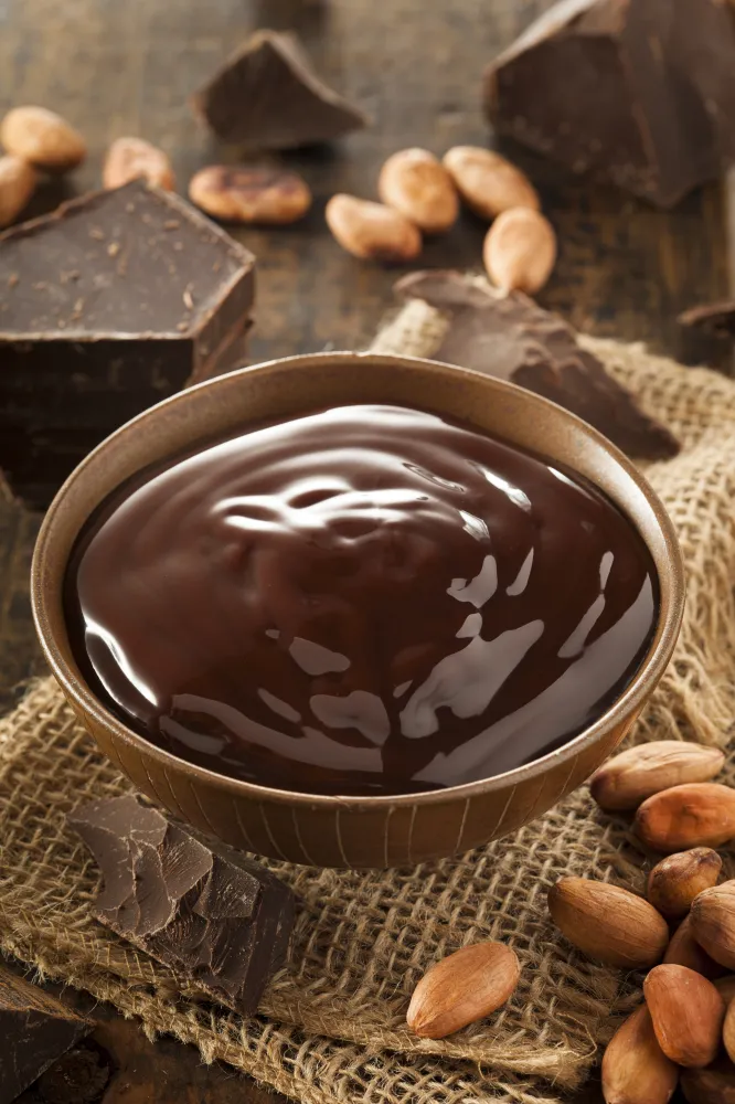 Ganache au chocolat au Companion