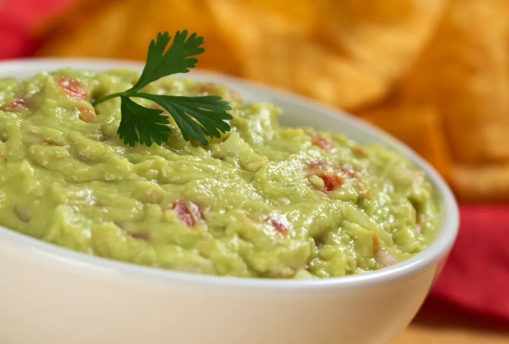 Guacamole mexicain nature