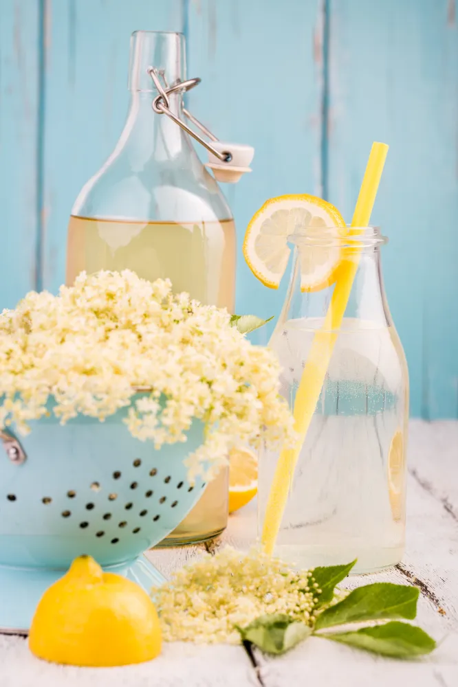 Sirop de fleurs de sureau