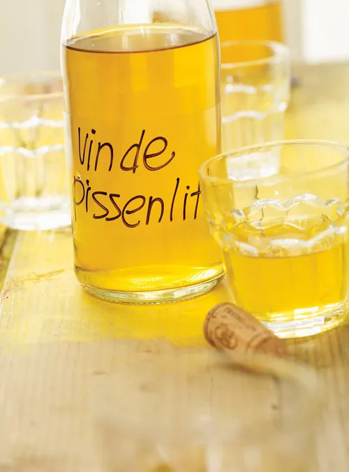 Vin de pissenlit