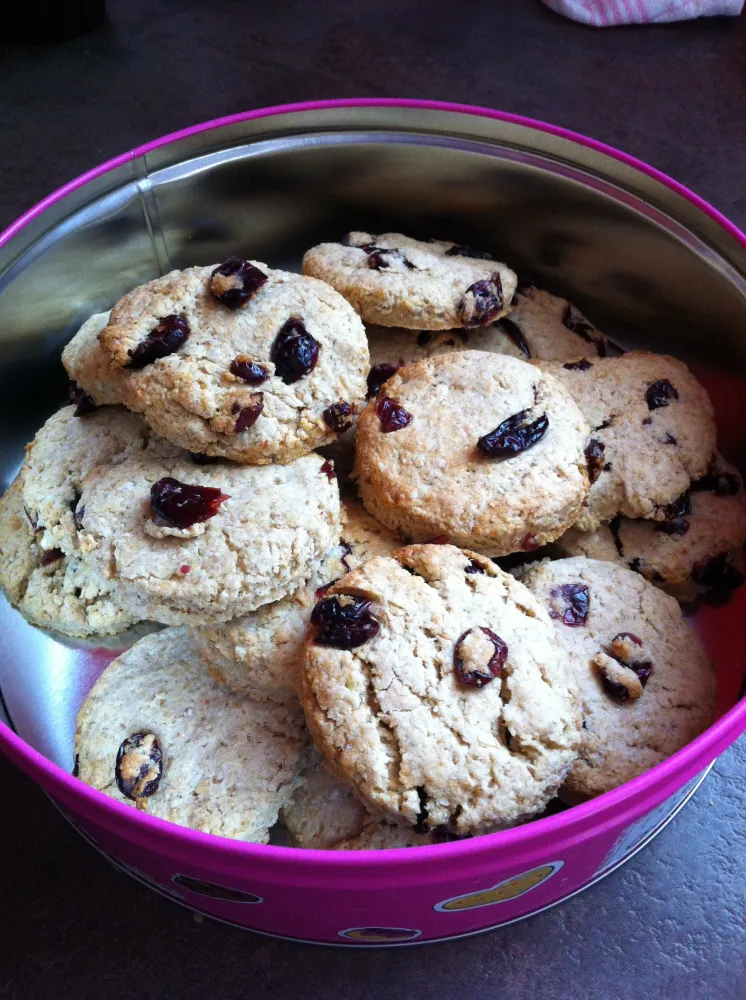 Petits gâteaux cranberries diététiques