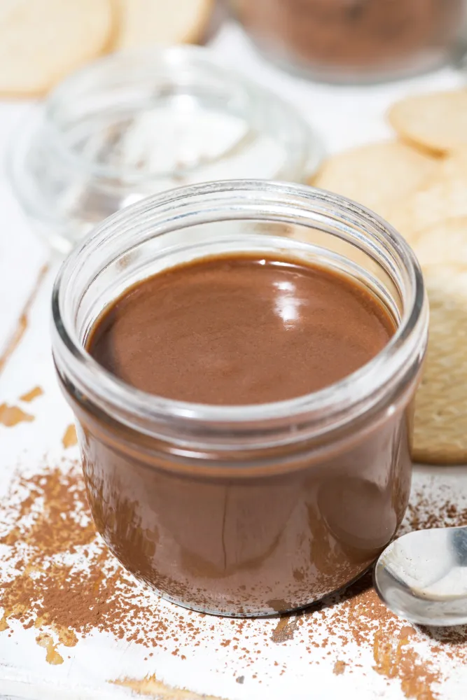 Crème au chocolat façon Danette