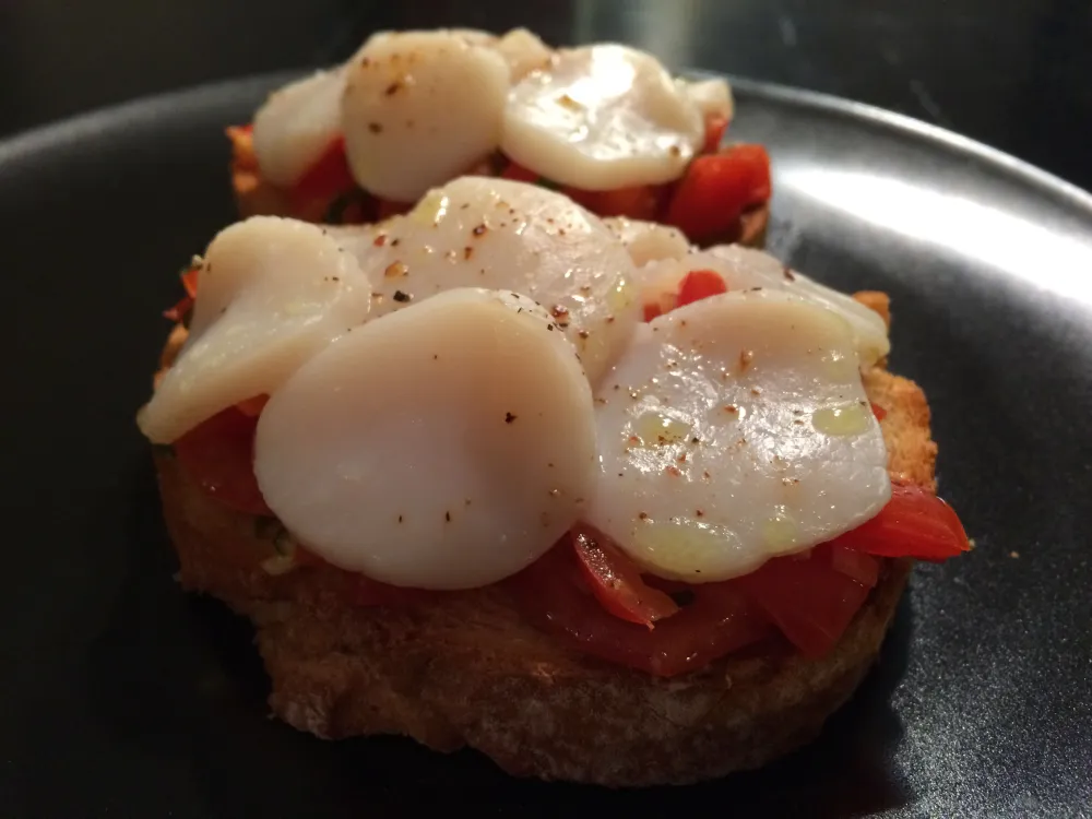 Tartine de tomates et de saint jacques