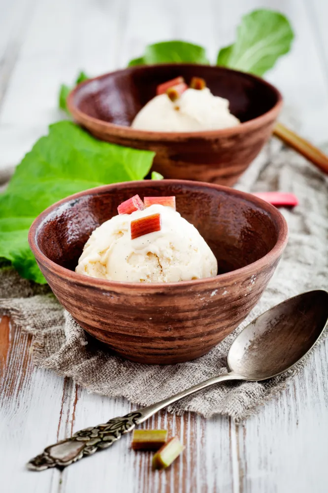 Délicieux sorbet à la rhubarbe