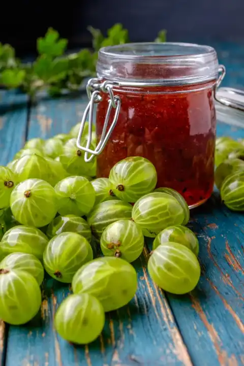 Gelée de groseilles à maquereaux et framboises