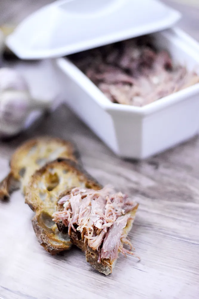 Rillettes de confit de canard