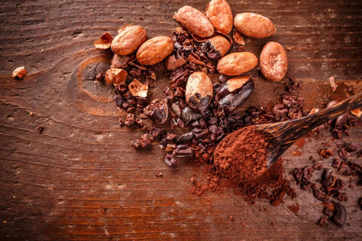 Cacao : utilisations, bienfaits et idées de recettes