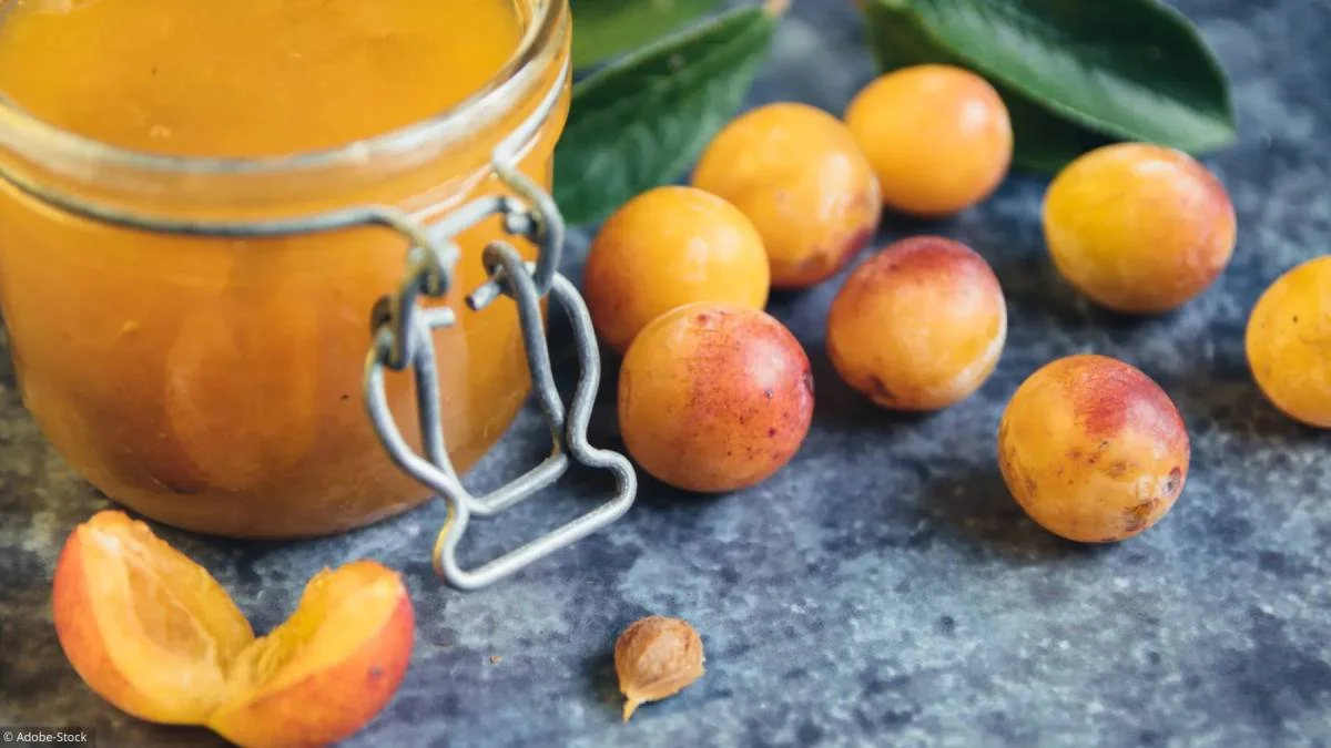 Confiture de mirabelles