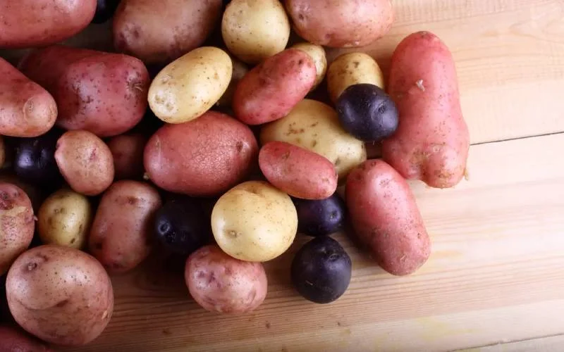 Les variétés de pommes de terre et comment les cuire ?