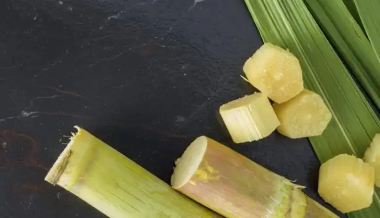 Sirop de canne