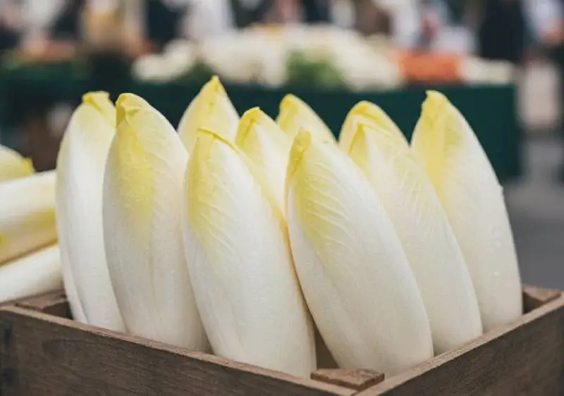 choix des endives