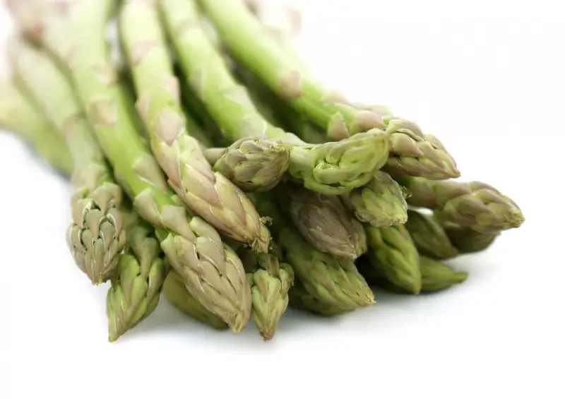 Asperge