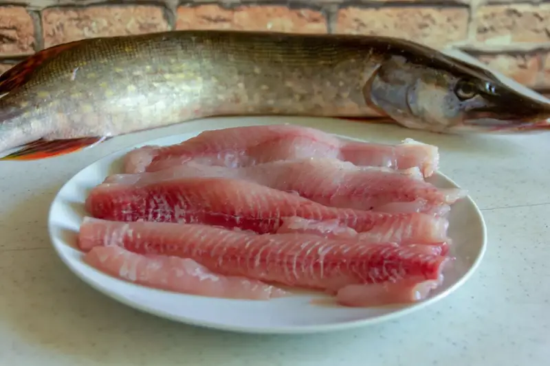 Brochet
