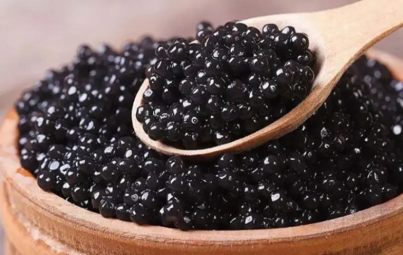 Caviar