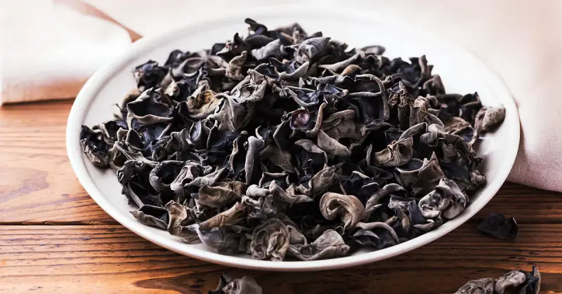 Champignon noir