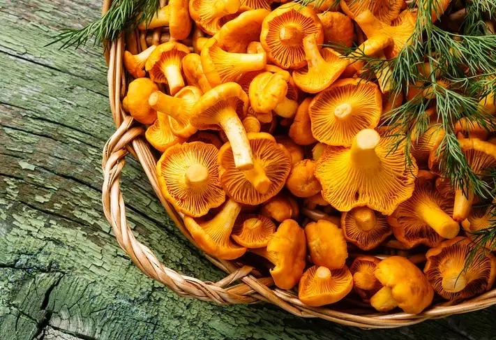 Girolle