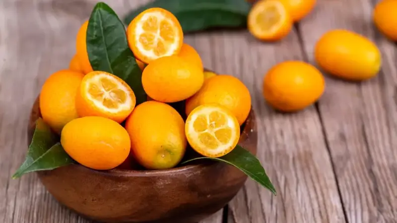 Kumquat