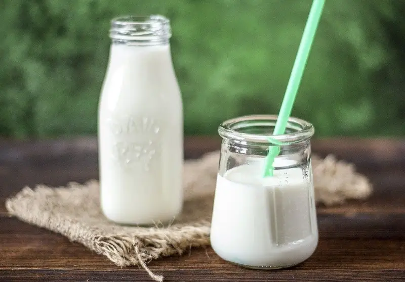 Lait fermenté