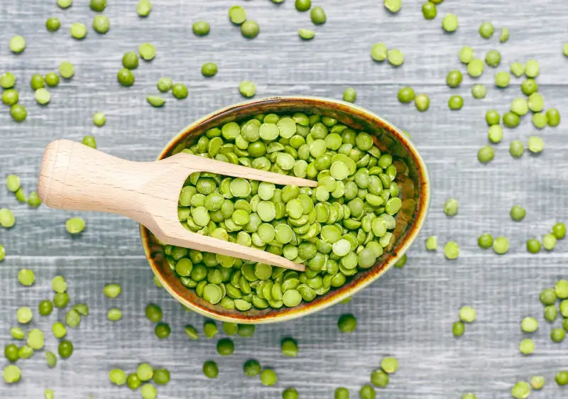 Lentille verte