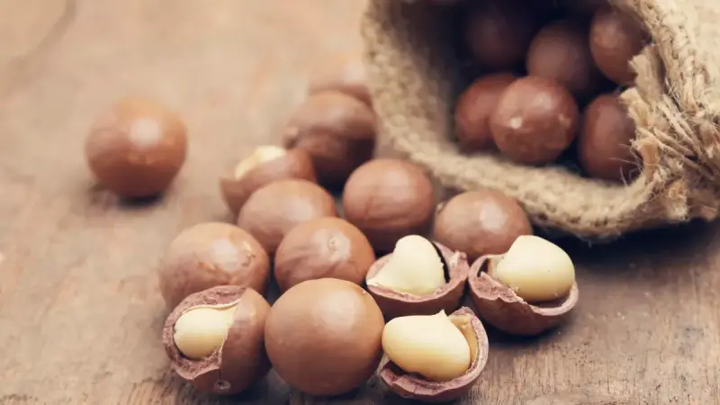 Noix de macadamia