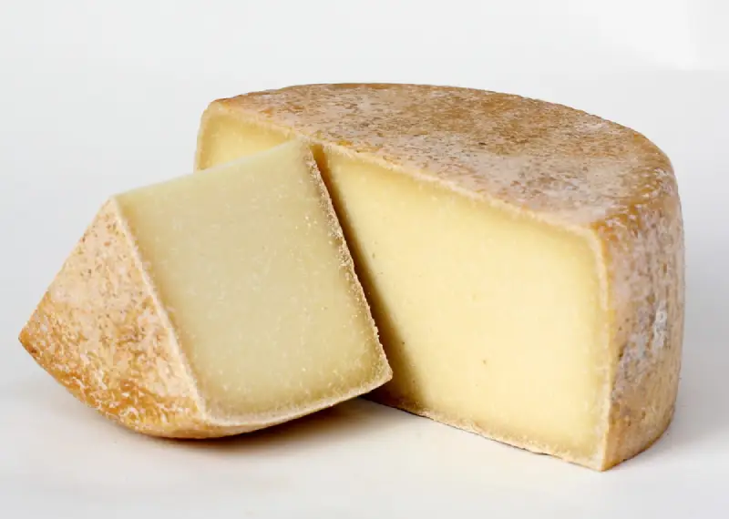 Pecorino