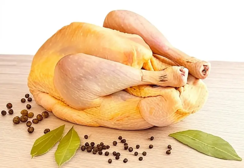 Pintade