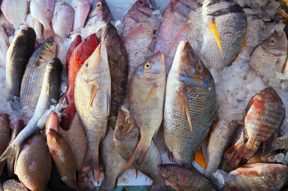 Poissons