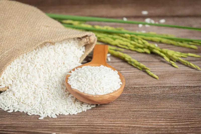 Riz