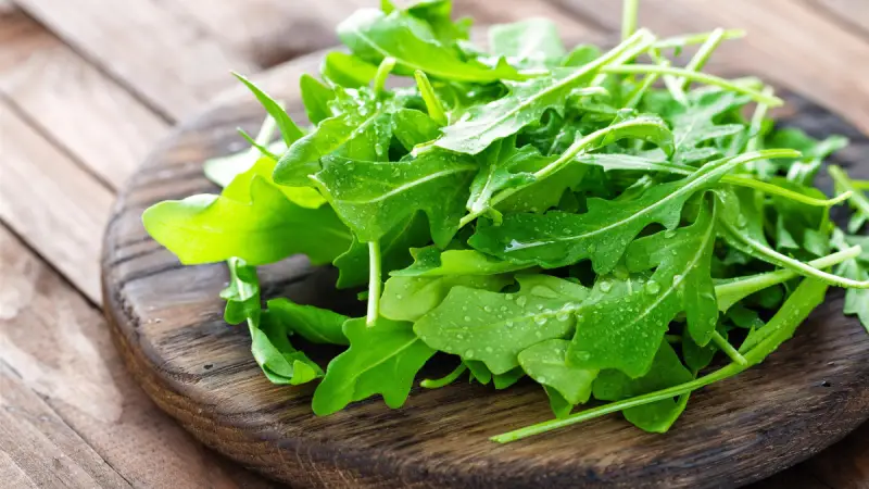 Roquette