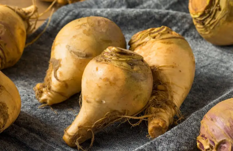 Rutabaga