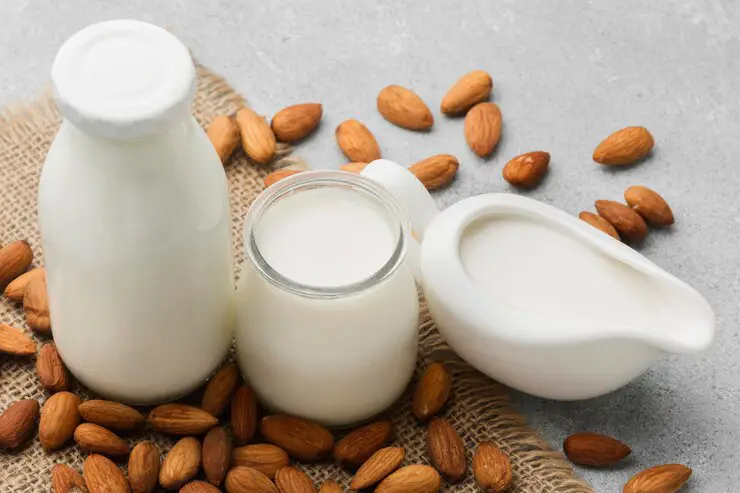Recettes Sans lactose